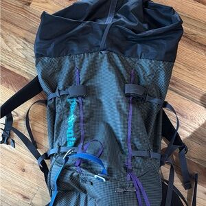 Patagonia cinch top back pack